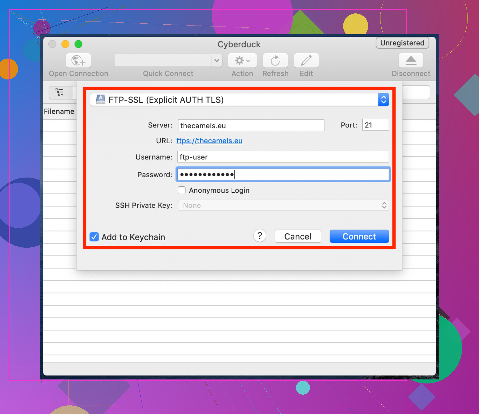 Step 2: Upload the files via FTP